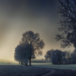 Registre de Condoléances - Desplanches