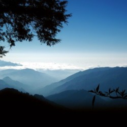 Registre de Condoléances - Desplanches
