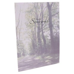 Livre du Souvenir - Desplanches