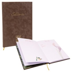 Livre du Souvenir - Desplanches